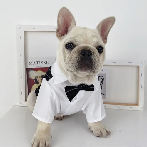 English Style Gentleman Dog Dress Puppy Suit with Tie for Formal Occasions Four Seasons Wedding Pet Photo Teddy Clothes