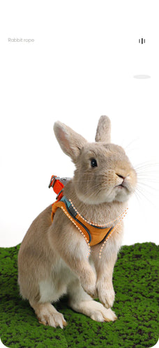 Rabbit Walks Adjustable Bunny Harness and Leash Set Double Buckle with Reflective Strips Rabbit Vest Pets Stuff Suitable