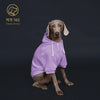 Colorful Dog Hoodie with Pocket & Leather Patch — Cozy Pet Hoodie