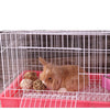 2pcs Small Animals Play Balls Rolling Activity Chew Toys Gnawing Treats for Rabbits Guinea Pigs Chinchilla Bunny Natural Balls