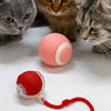 Pet Toy Ball with Tail Rope，Smart Automatic Pet Chase Ball Toy, Upgraded Speedy Tail Kitten Toy for Bored Indoor Adult Pets