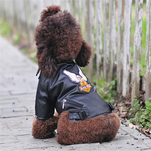 Glorious Eagle Outerwear Fashion C(XXS-XXL)