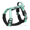 BeiYu Pet Harness With Leash Vest For Dogs