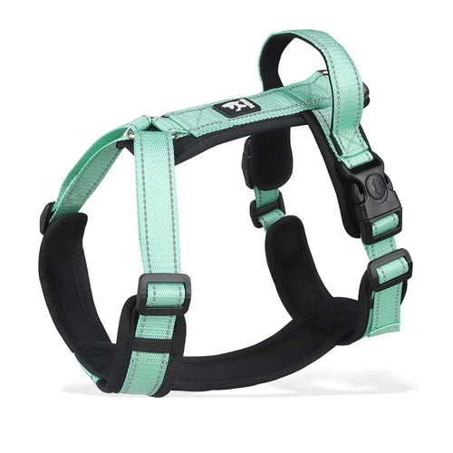 BeiYu Pet Harness With Leash Vest For Dogs