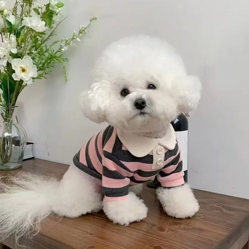 Striped Dog Shirt for Small Dogs Breathable Cotton Pet T-Shirt for Teddy Bichon Schnauzer Spring Summer Autumn Puppy Clothes
