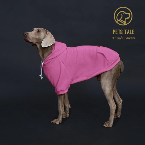 Colorful Dog Hoodie with Pocket & Leather Patch — Cozy Pet Hoodie