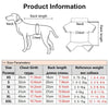 Designer Denim Dog Hoodie Jacket