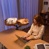 Height-Adjustable Wooden Cat Desk Bed - Metal Frame Safe Cat Rack, Top Choice for Cat Lovers