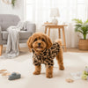 Fashion Leopard Print Dog Clothes Warm Fleece Thickened Dog Coat Jacket Teddy Pet Padded Coat Cat