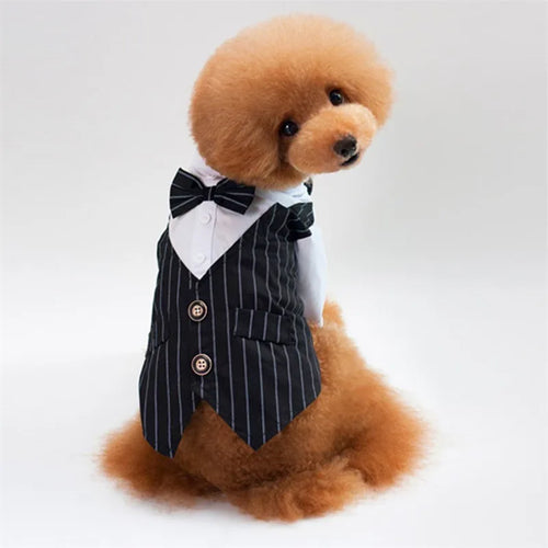 English Style Gentleman Dog Dress Puppy Suit with Tie for Formal Occasions Four Seasons Wedding Pet Photo Teddy Clothes