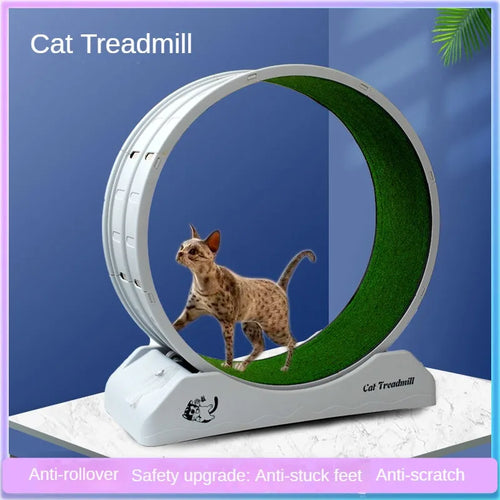 Silent Roller Cat Running Wheel - Plastic Exercise Treadmill