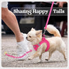 Dog Harness and Leash Set - Reflective Breathable Mesh Vest