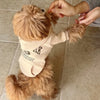 Letter Print Dog Hoodie