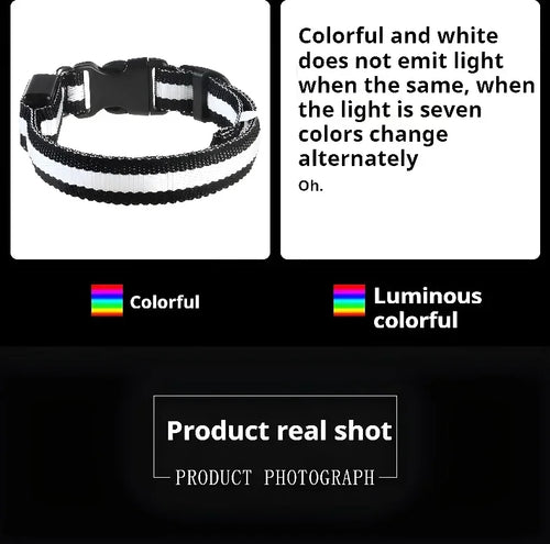 LED Glow Dog Collar & Leash | Nylon Night Safety Flashing Collar