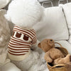 Bear Knit Dog Sweaters