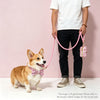 Luxury Bow Dog Collar Set | Cotton & Polyester | XS–XL | With Leash & Poop Bag