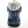 Designer Denim Dog Hoodie Jacket