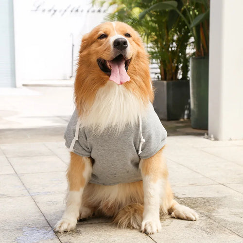 Pet Hoodies for Large Dogs Spring and Autumn Fleece Golden Retriever Sweatshirt with Hat and Zip Pocket  Pet Clothing