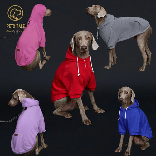 Colorful Dog Hoodie with Pocket & Leather Patch — Cozy Pet Hoodie