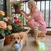 Pet Toy Ball with Tail Rope，Smart Automatic Pet Chase Ball Toy, Upgraded Speedy Tail Kitten Toy for Bored Indoor Adult Pets