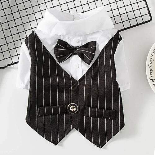 English Style Gentleman Dog Dress Puppy Suit with Tie for Formal Occasions Four Seasons Wedding Pet Photo Teddy Clothes