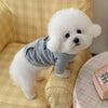 Letter Print Dog Hoodie