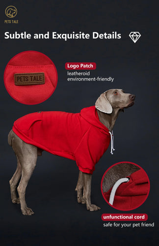 Colorful Dog Hoodie with Pocket & Leather Patch — Cozy Pet Hoodie