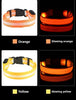 LED Glow Dog Collar & Leash | Nylon Night Safety Flashing Collar