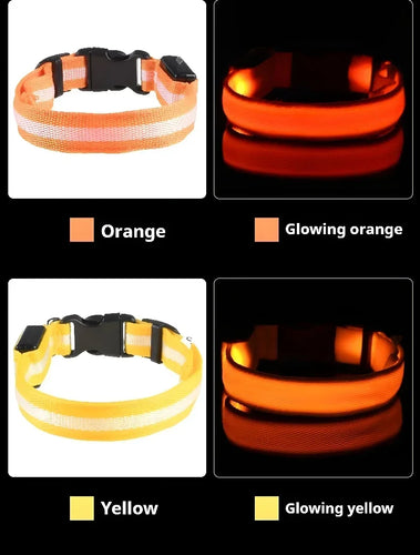 LED Glow Dog Collar & Leash | Nylon Night Safety Flashing Collar