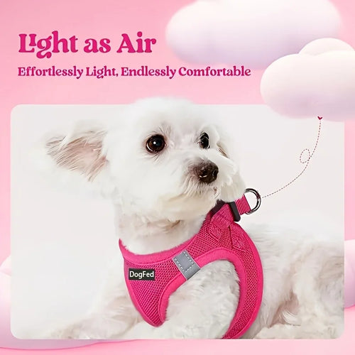 Dog Harness and Leash Set - Reflective Breathable Mesh Vest