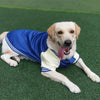 Big Dog Baseball Suit