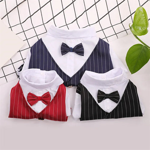 English Style Gentleman Dog Dress Puppy Suit with Tie for Formal Occasions Four Seasons Wedding Pet Photo Teddy Clothes