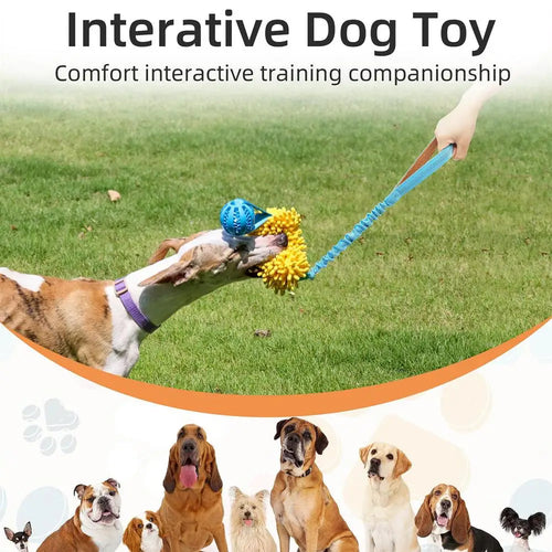 Interactive Squeaky Dog Rope Toy with Elastic Drawstring