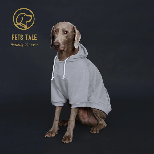 Colorful Dog Hoodie with Pocket & Leather Patch — Cozy Pet Hoodie
