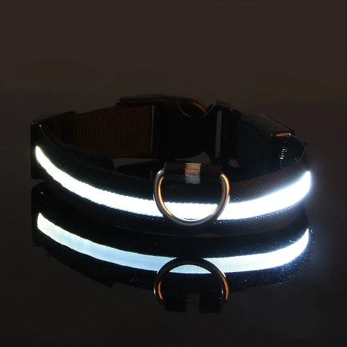 LED Glow Dog Collar & Leash | Nylon Night Safety Flashing Collar