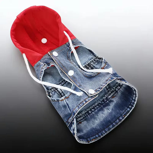 Designer Denim Dog Hoodie Jacket