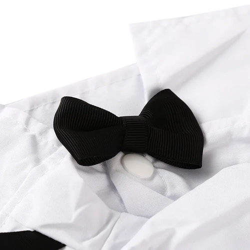 English Style Gentleman Dog Dress Puppy Suit with Tie for Formal Occasions Four Seasons Wedding Pet Photo Teddy Clothes