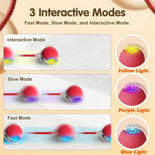 New Cat Interactive Ball Toy,Automatic Rolling Cat Ball Rechargeable,Smart Kitten Interactive Toy,Intelligent Balls Toy for Cat