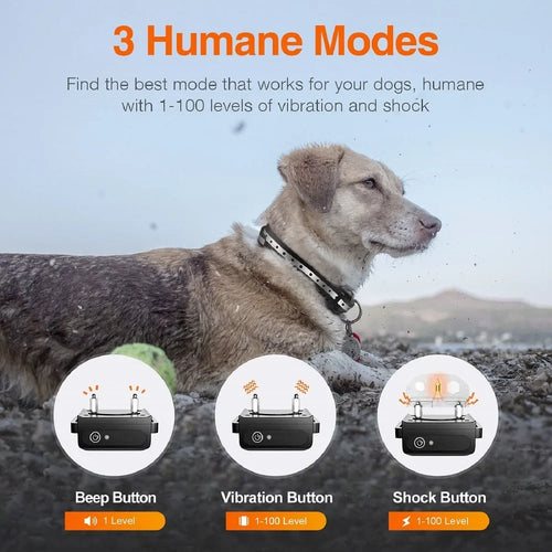 Dog Training Collar with Remote | 1000M Range, Waterproof & Rechargeable