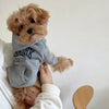 Letter Print Dog Hoodie