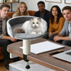 Cat Bed for Desk 360 Rotating Hammock for Cat Desk Clamp Kitten Bed for Kittens Pets Animals Indoor Home Apartment Living Room