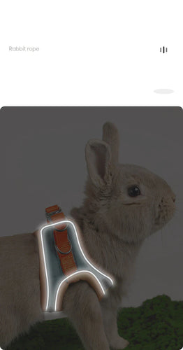 Rabbit Walks Adjustable Bunny Harness and Leash Set Double Buckle with Reflective Strips Rabbit Vest Pets Stuff Suitable