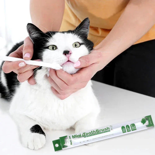Vet Recommended Dog/Cat Toothbrush - Micro Head Teeth Cleaning Tool for Small Mouth Dogs Cats, 360° Gum Care Pet Dental Kit