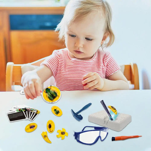 Fly Amber Excavation Kit - STEM Science Dig Set with Tools