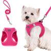Dog Harness and Leash Set - Reflective Breathable Mesh Vest