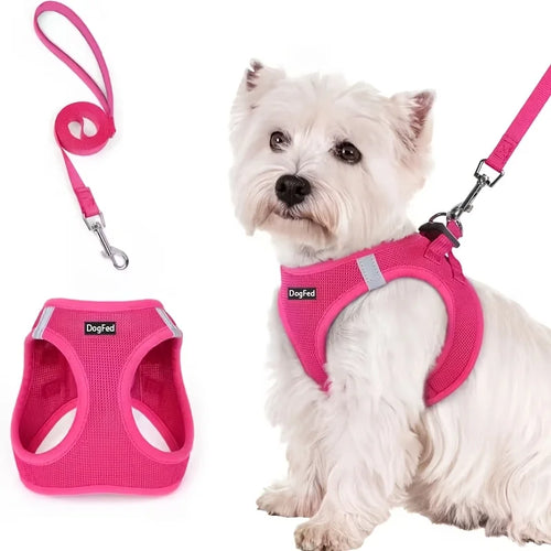 Dog Harness and Leash Set - Reflective Breathable Mesh Vest