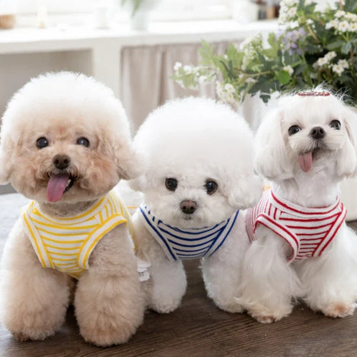Pet Thin Striped Dress Dog Teddy Small Dog Yorkshire Lace Vest Dog Dresses for Small Dogs Puppy Clothes