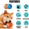 Pet Toy Ball with Tail Rope，Smart Automatic Pet Chase Ball Toy, Upgraded Speedy Tail Kitten Toy for Bored Indoor Adult Pets