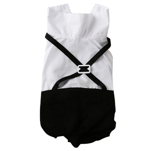English Style Gentleman Dog Dress Puppy Suit with Tie for Formal Occasions Four Seasons Wedding Pet Photo Teddy Clothes