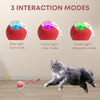 Pet Toy Ball with Tail Rope，Smart Automatic Pet Chase Ball Toy, Upgraded Speedy Tail Kitten Toy for Bored Indoor Adult Pets